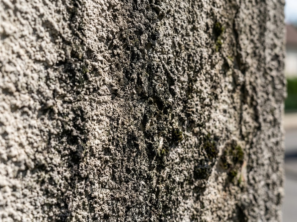 Zoom sur un crépi encrassé par la pollution, les mousses et les micro-organismes