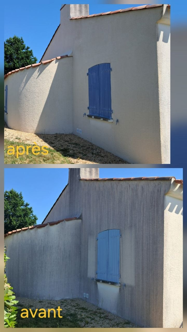 Toiture démoussée